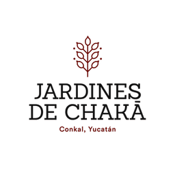 Dev Logo