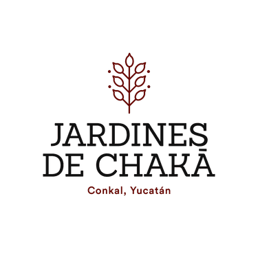 Dev Logo